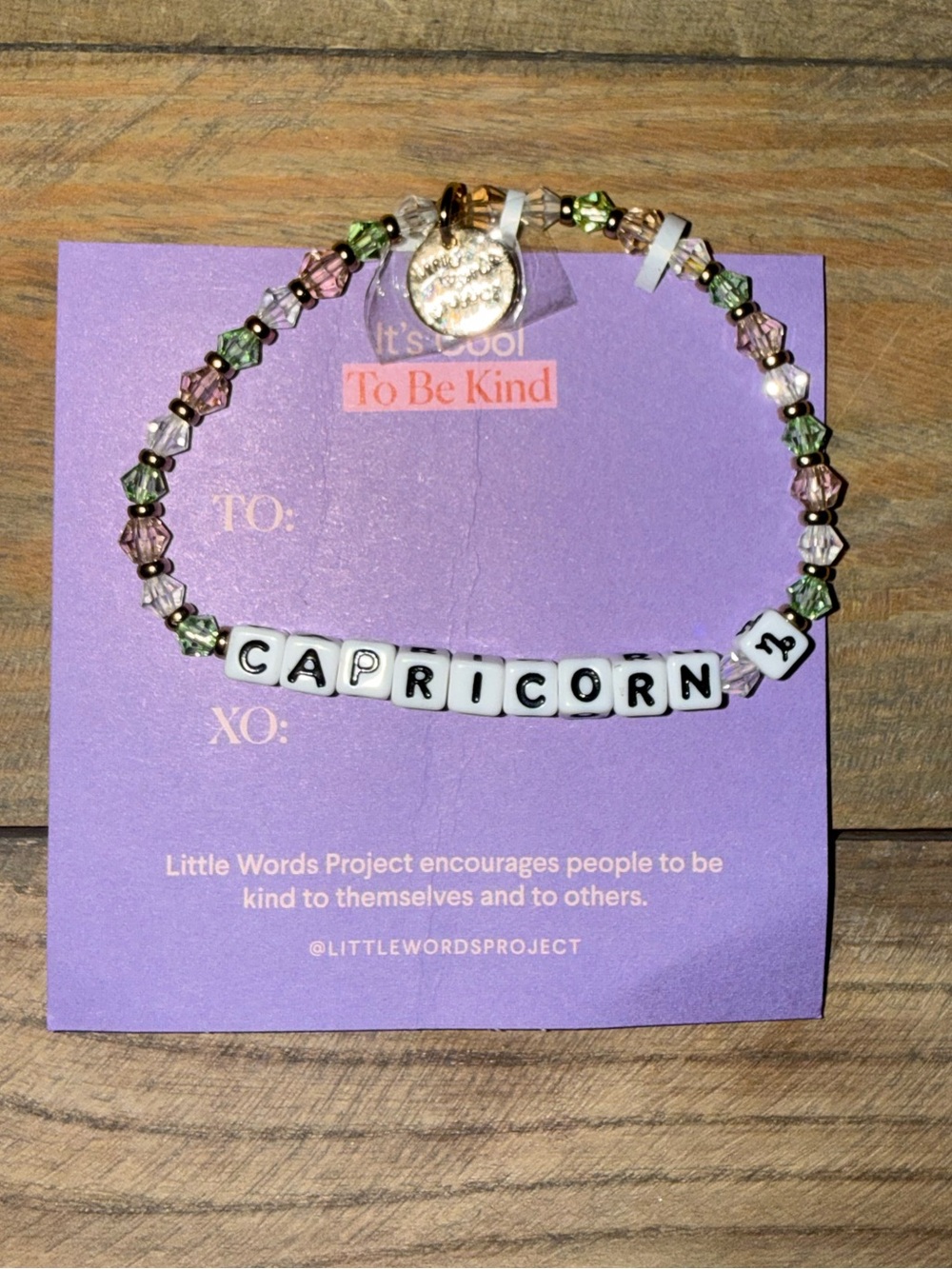 LITTLE WORDS PROJECT
Capricorn Zodiac Goat Bracelet - S/M  | NWT